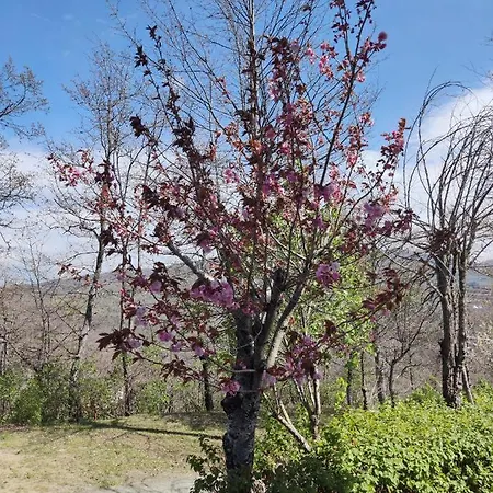 Nocleg ze śniadaniem Beb Le Masere 3*