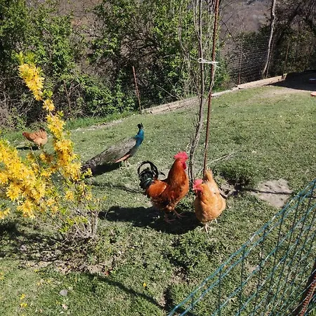 Nocleg ze śniadaniem Beb Le Masere