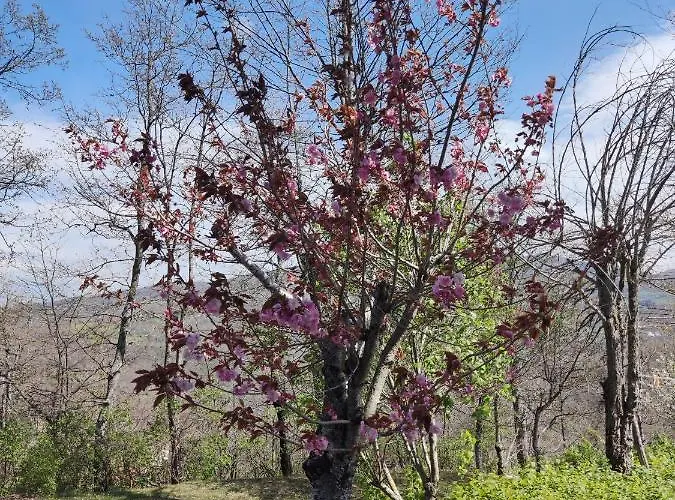 فندق مبيت وإفطار Beb Le Masere 3*