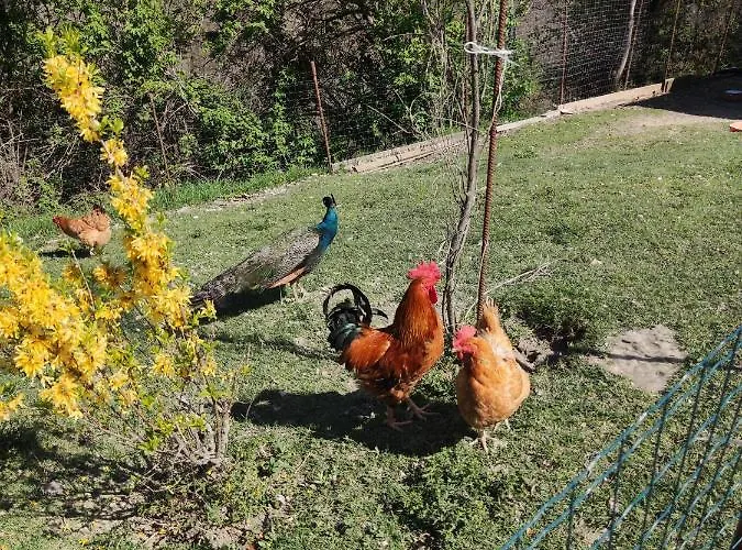 Nocleg ze śniadaniem Beb Le Masere
